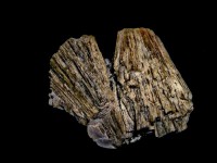 /album/galerie-photos/oepidote-655-jpg/